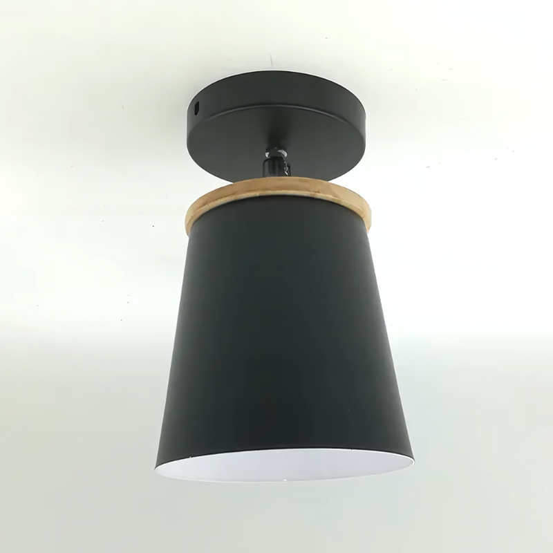 AuroraLume Ceiling Light With Warm Ambient Glow for Modern Interiors
