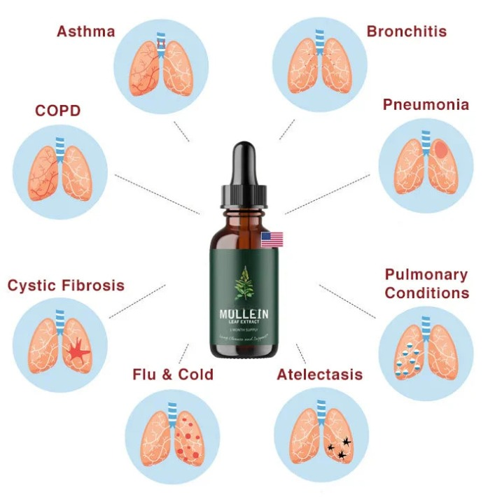 Mullein + Chlorophyll | Natural lung detox - Clean your lungs naturally