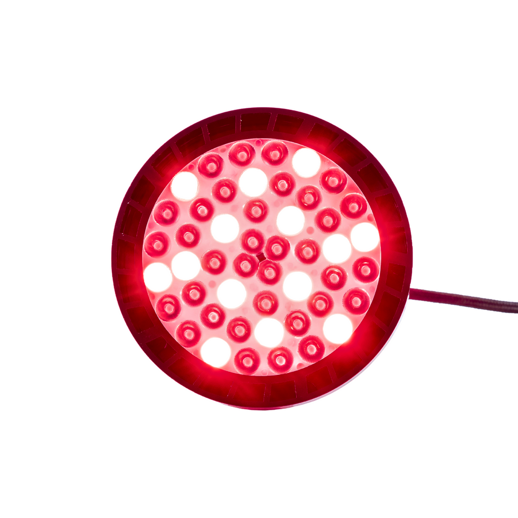 Compact Handheld Red Light Therapy Device For Home Use