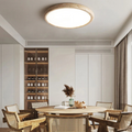 TerraStone Natural Stone LED Ceiling Light for Living Room