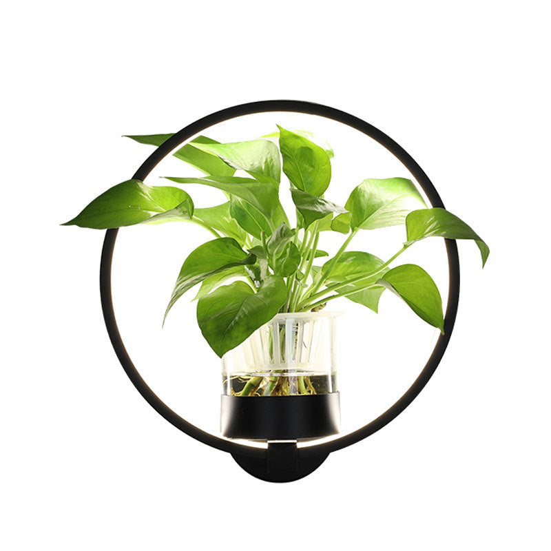 VerdantGlow Planter Wall Light With Glass Plant Cup