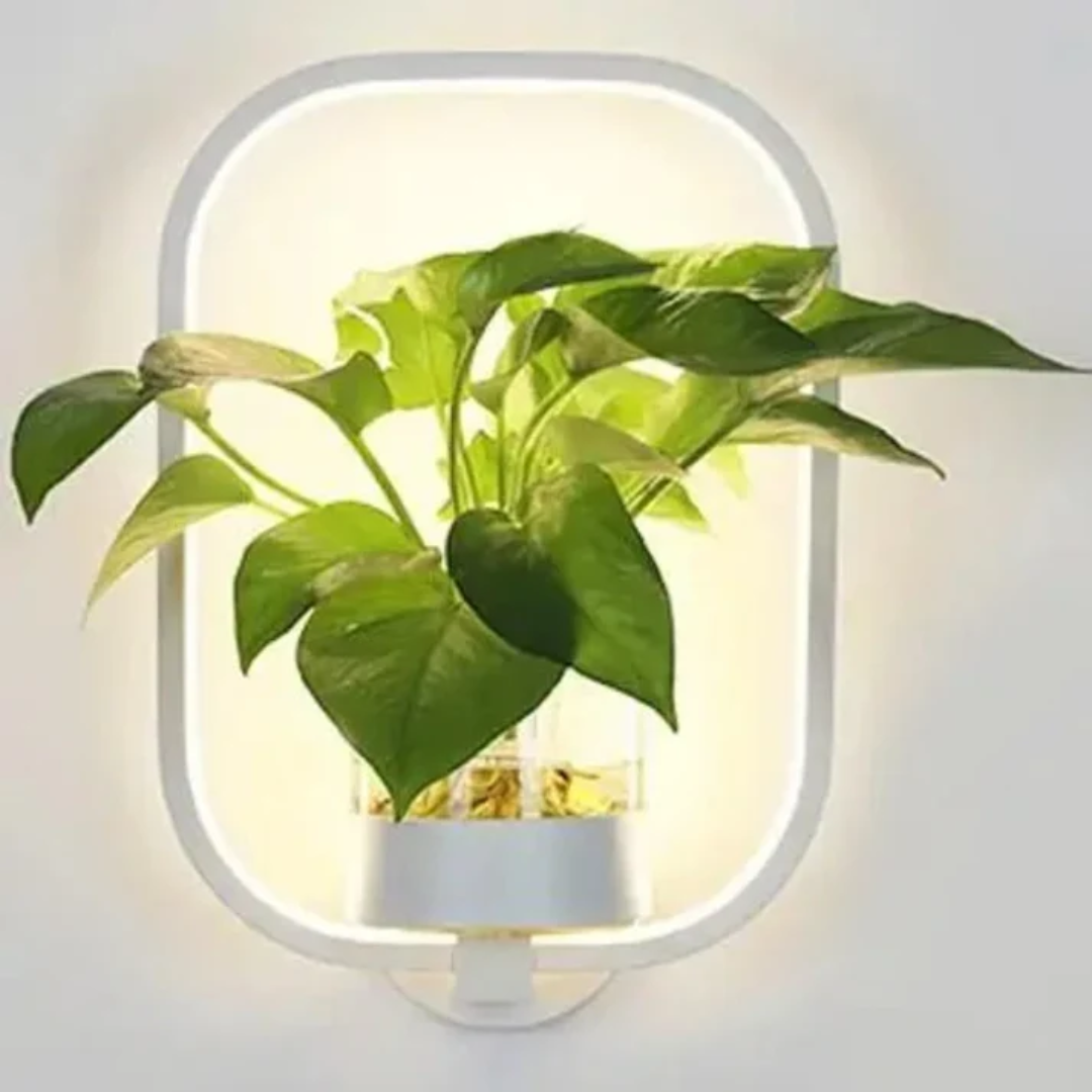 چراغ دیواری LED اورلیا برای فضای نشیمن و اتاق خواب