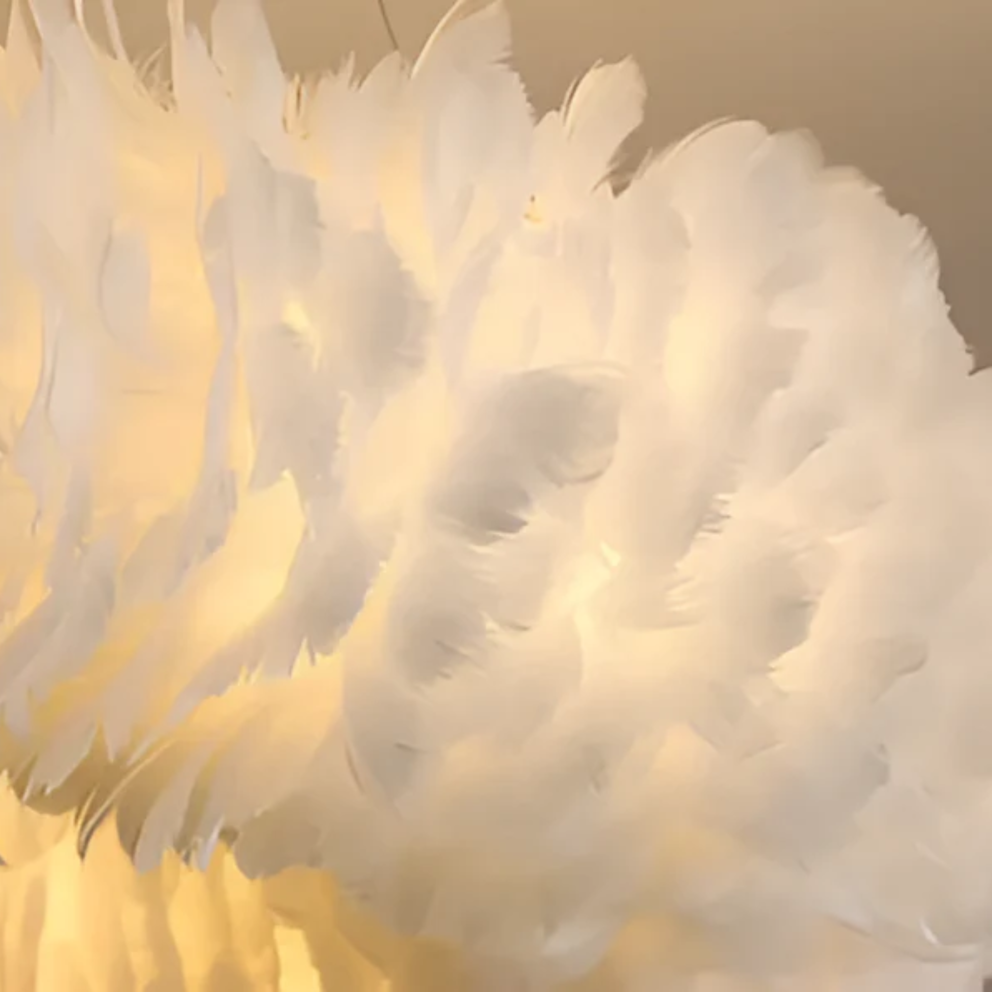 Cresora | White Circular Feather Pendant Light For Elegant Rooms