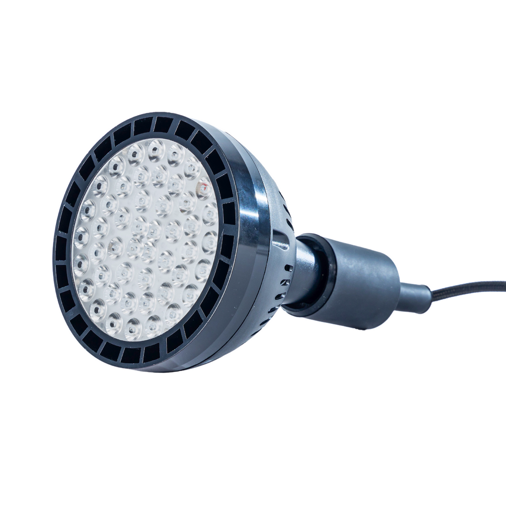 Compact Handheld Red Light Therapy Device For Home Use