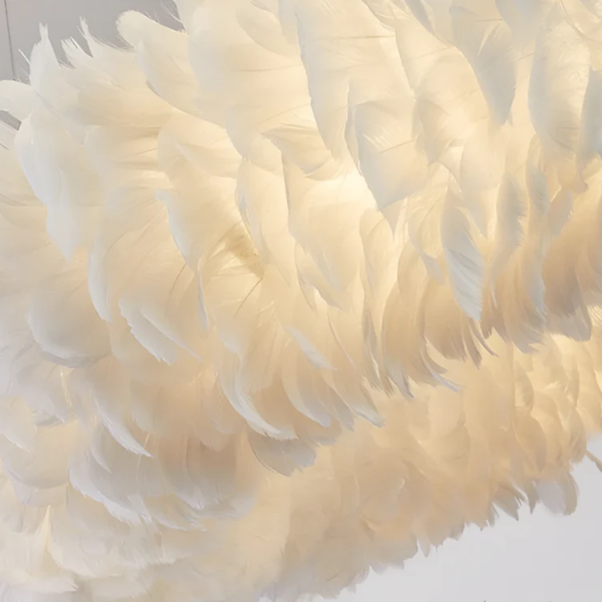Aurelia Circular White Feather Pendant Light With Soft Diffusion