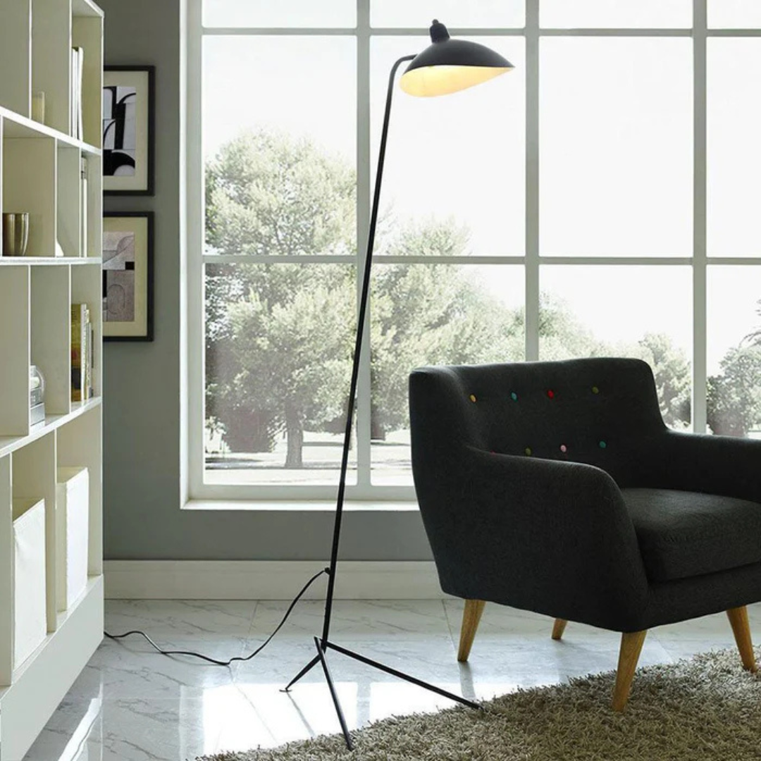 Aerislo Minimalist Black Floor Lamp With Adjustable Arms