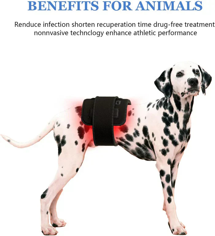 LED Infrared and Red Light Therapy Belt Device System