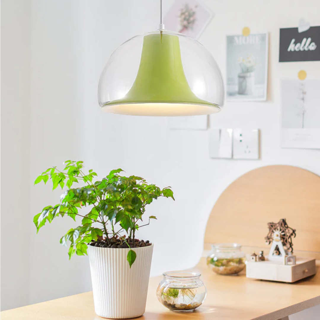 Aurelia halbkreisförmige Glas-Pendelleuchte für Esszimmer
