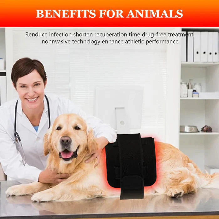 LED Infrared and Red Light Therapy Belt Device System