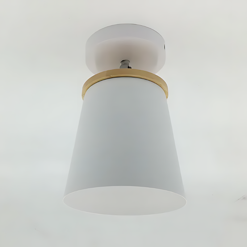 AuroraLume Ceiling Light With Warm Ambient Glow for Modern Interiors