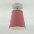 AuroraLume Ceiling Light With Warm Ambient Glow for Modern Interiors
