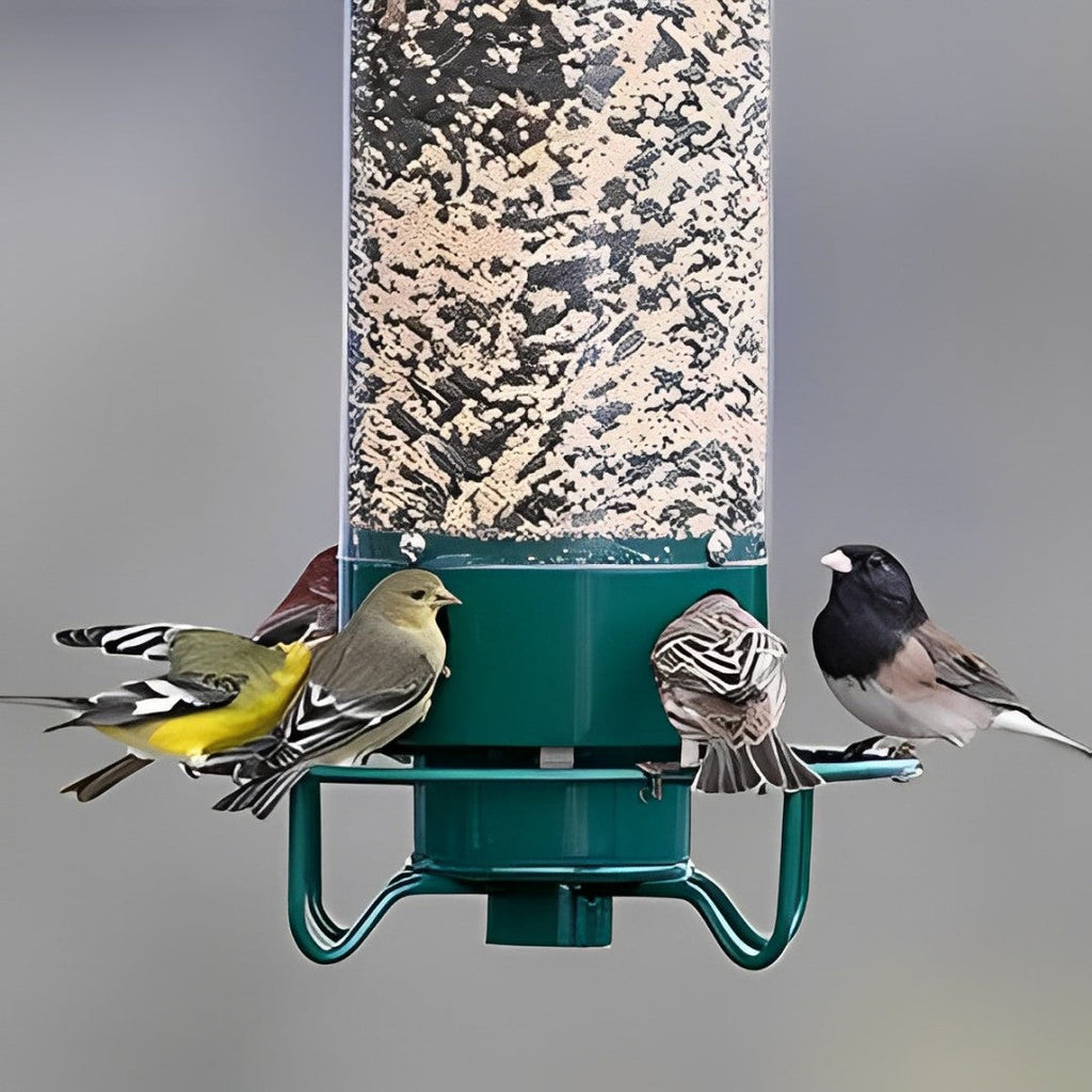 Weight Activated Squirrel Proof Bird Feeder With Anti Squirrel Guard