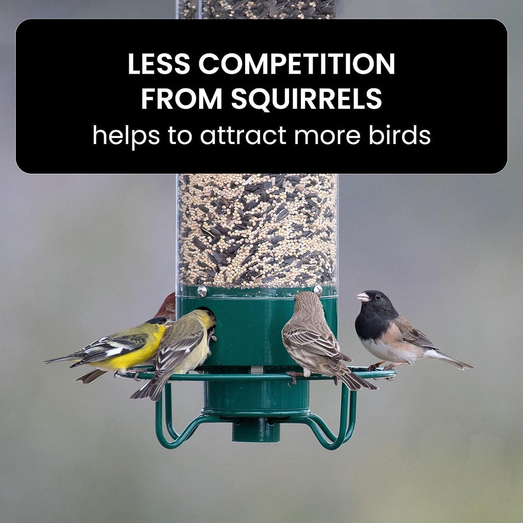 Weight Activated Squirrel Proof Bird Feeder With Anti Squirrel Guard