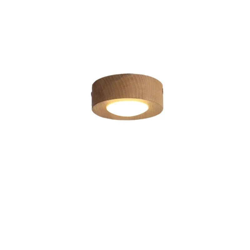 نورافکن سقفی ور دنت‌گلو با کیفیت برتر