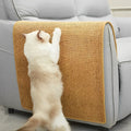PawRise Durable Cat Scratcher for Happy and Active Cats