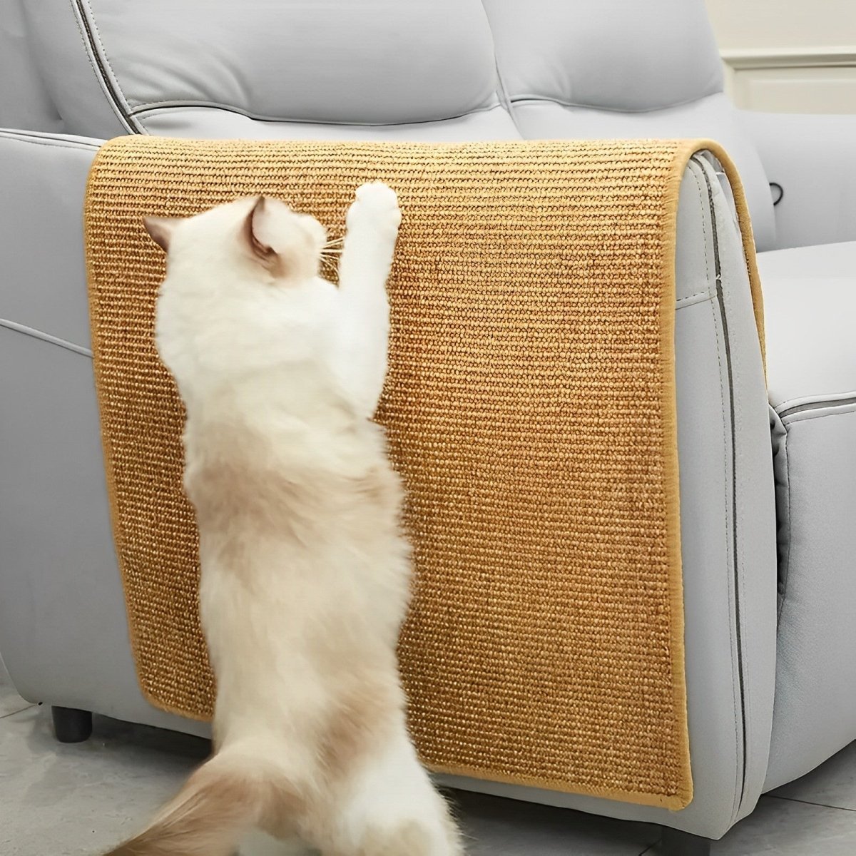 PawRise Durable Cat Scratcher for Happy and Active Cats