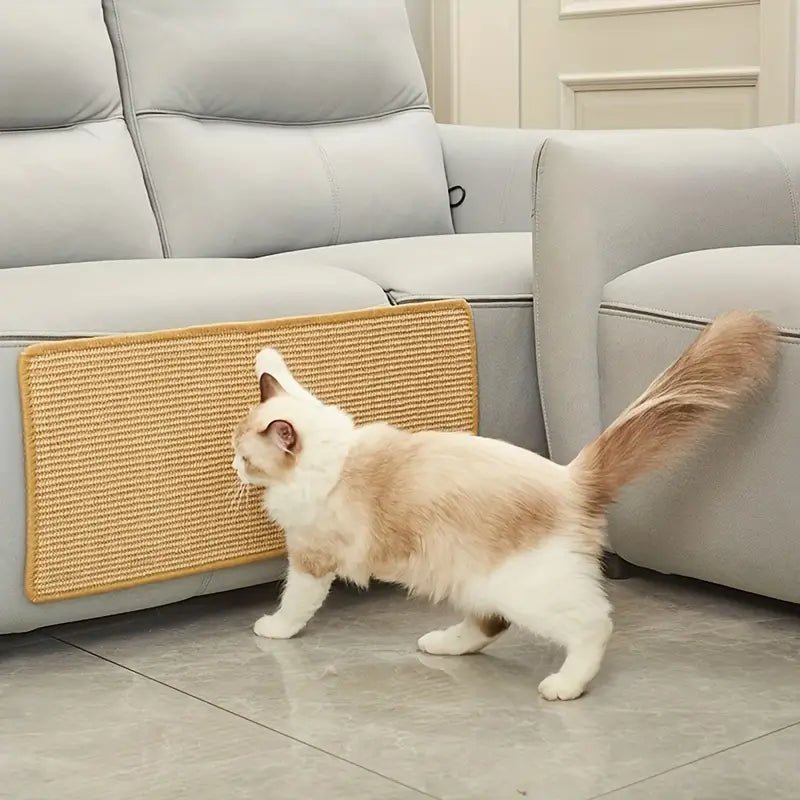 PawRise Durable Cat Scratcher for Happy and Active Cats