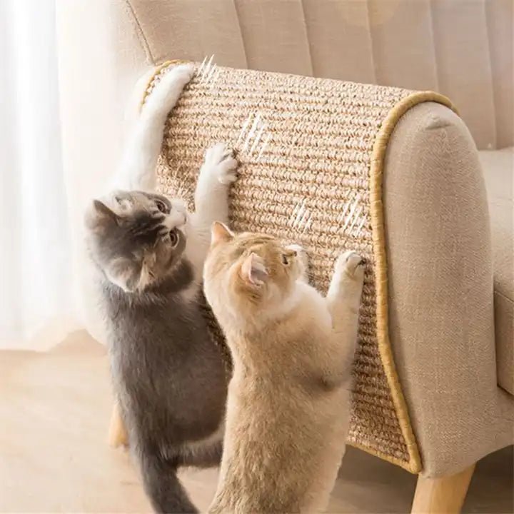 PawRise Durable Cat Scratcher for Happy and Active Cats