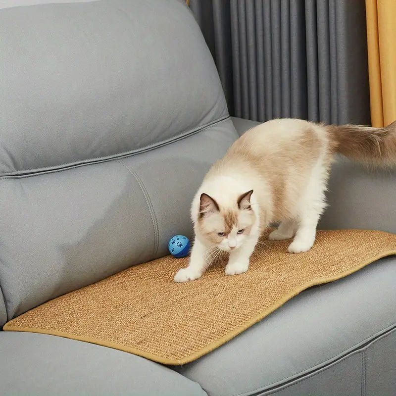 PawRise Durable Cat Scratcher for Happy and Active Cats