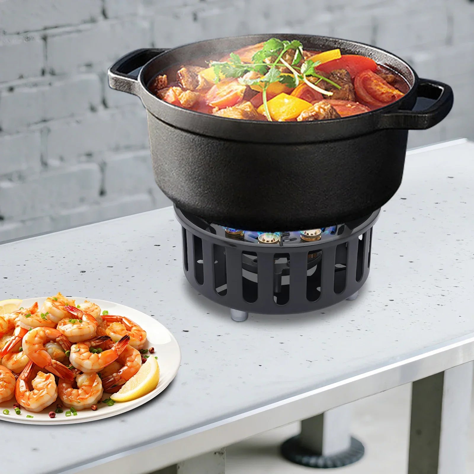 NovaTrail Portable Outdoor Camping Stove With Multi-Fuel Burner And Compact Carry