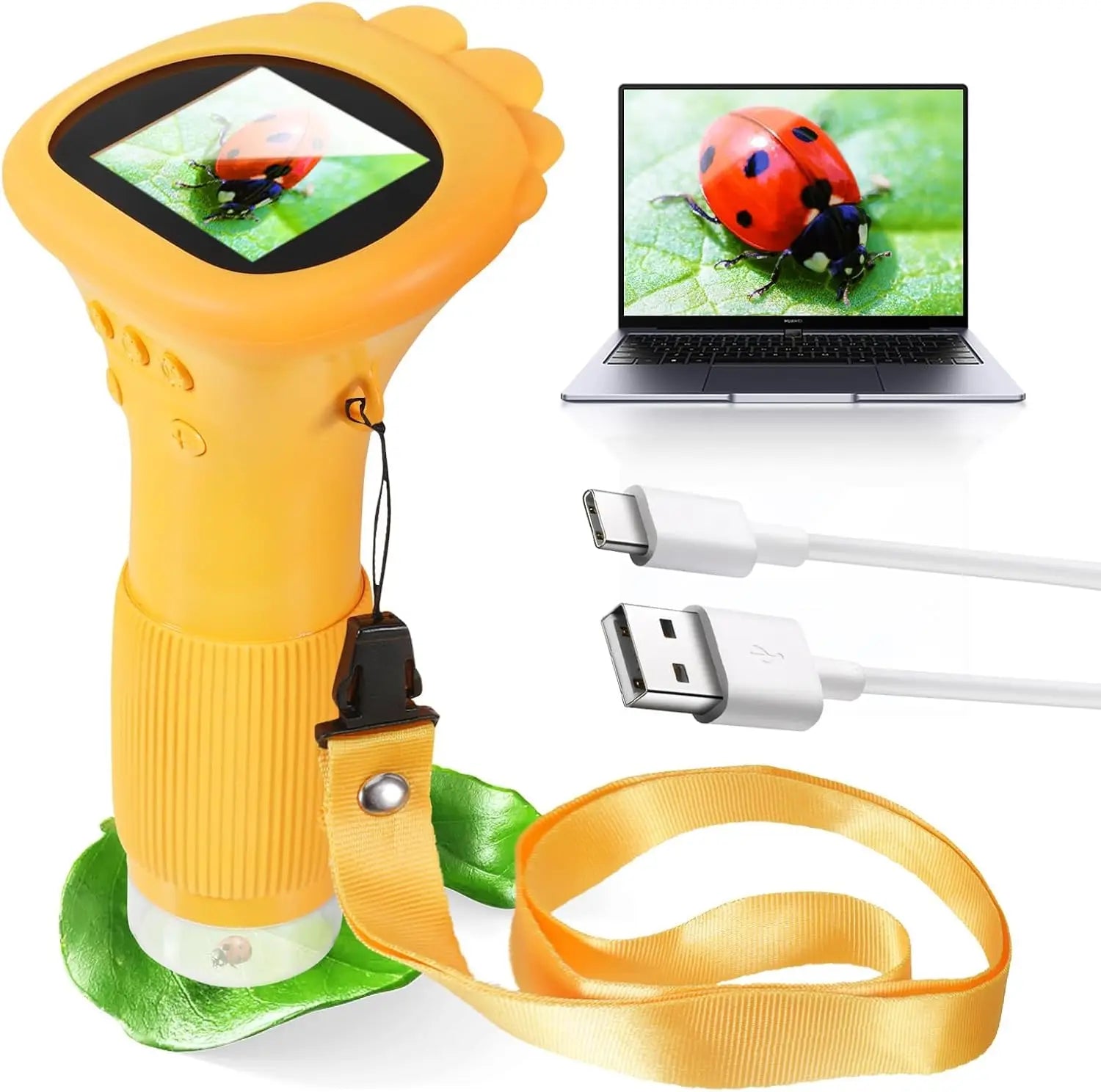 MicroQuest Junior 1000x digitális mikroszkóp fiatal felfedezőknek