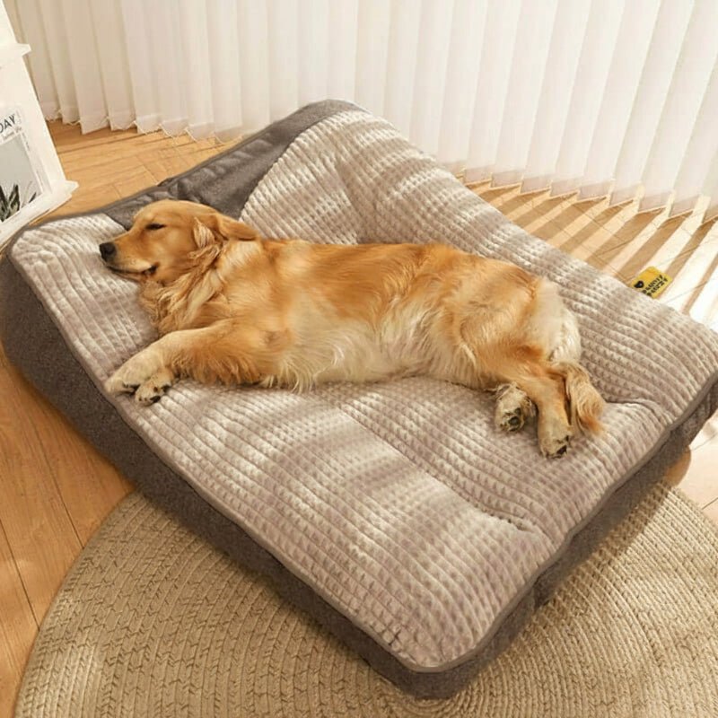 PawNest Large Scratch-Resistant Dog Bed With Orthopedic Spinal Support