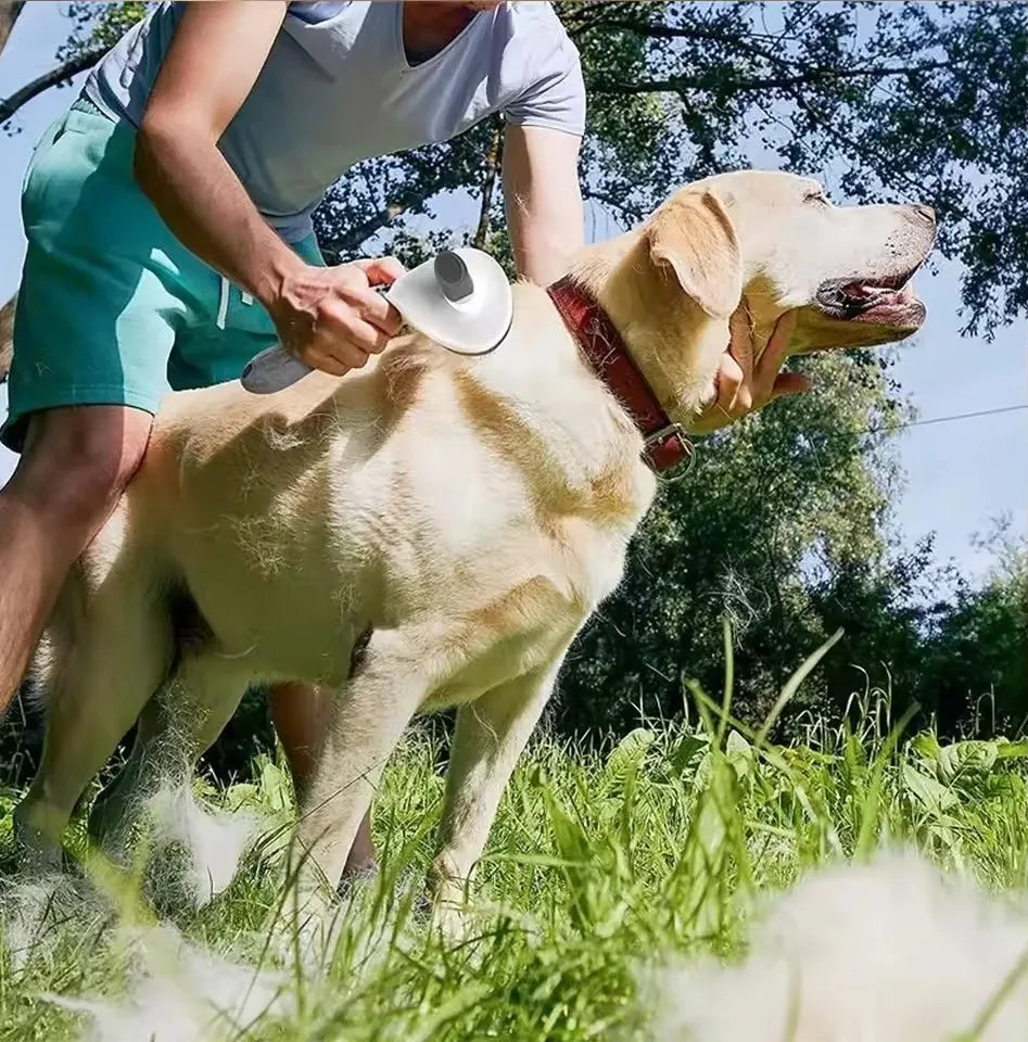 FurEase-karvanpoistoharja koirille ja kissoille – hoitoharja pitkälle turkille
