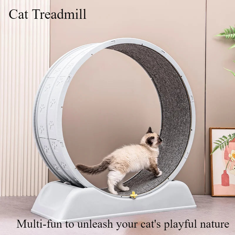 PurrTrack Trähjul för Kattträning med Ultratyst Design och Avtagbar Matta