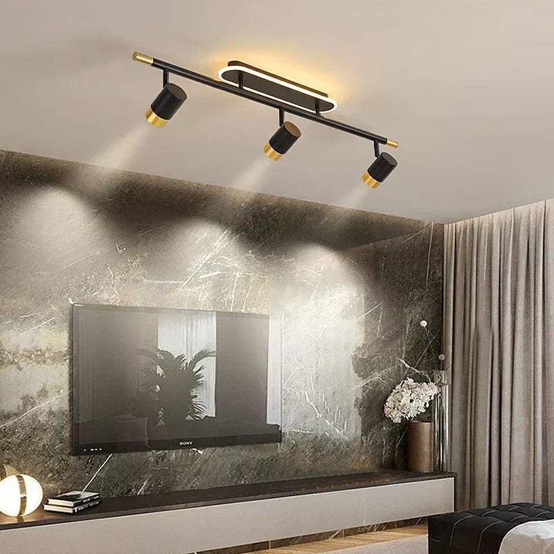 Quattro-Spot Track Ceiling Light in Matte Black Gold