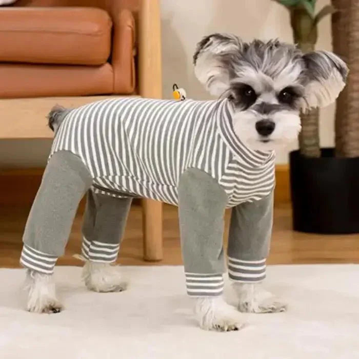 Anti-Licking Canine Recovery Suit for Postoperative Care