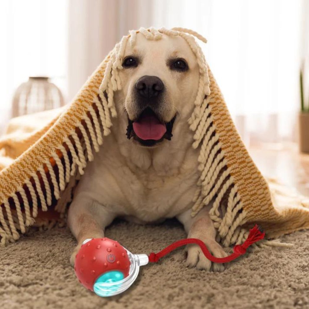 SwiftOrbit Rolling Ball Dog Toy For Interactive Play And Anxiety Relief