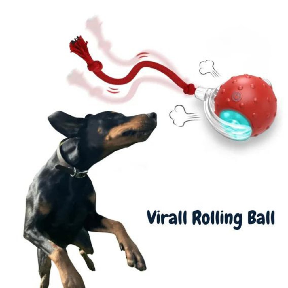 SwiftOrbit Rolling Ball Dog Toy For Interactive Play And Anxiety Relief