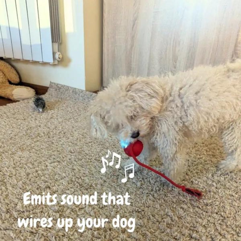 SwiftOrbit Rolling Ball Dog Toy For Interactive Play And Anxiety Relief