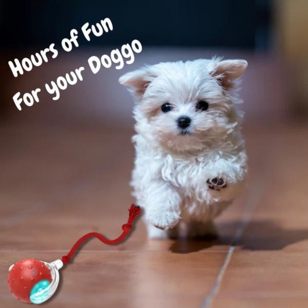 SwiftOrbit Rolling Ball Dog Toy For Interactive Play And Anxiety Relief