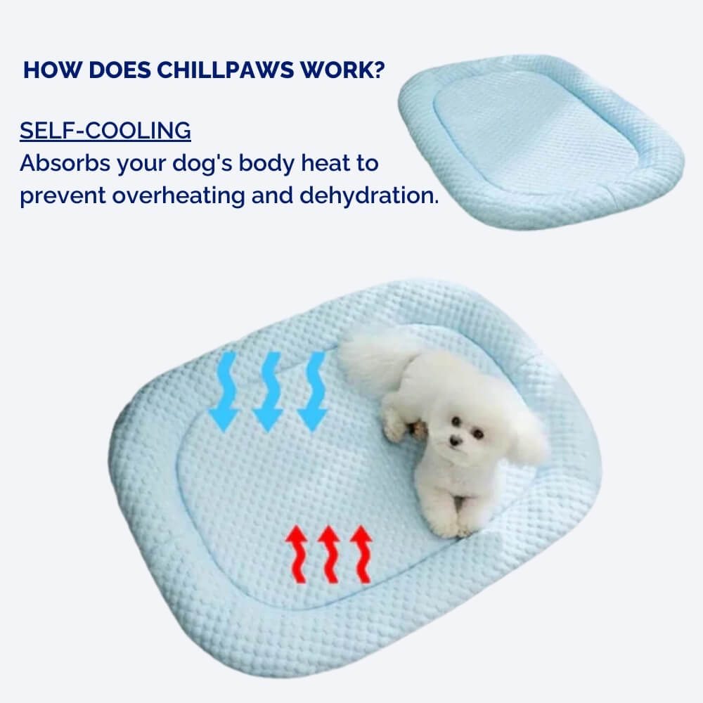 ChillPaws Cooling Dog Bed With Temperature Regulation On Hot Days