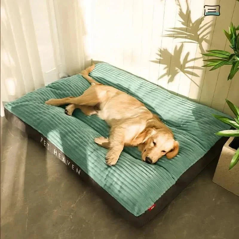 تخت ارتوپدی CozyPaw برای سگ، راحت و حمایت‌کننده برای شب‌های آرام