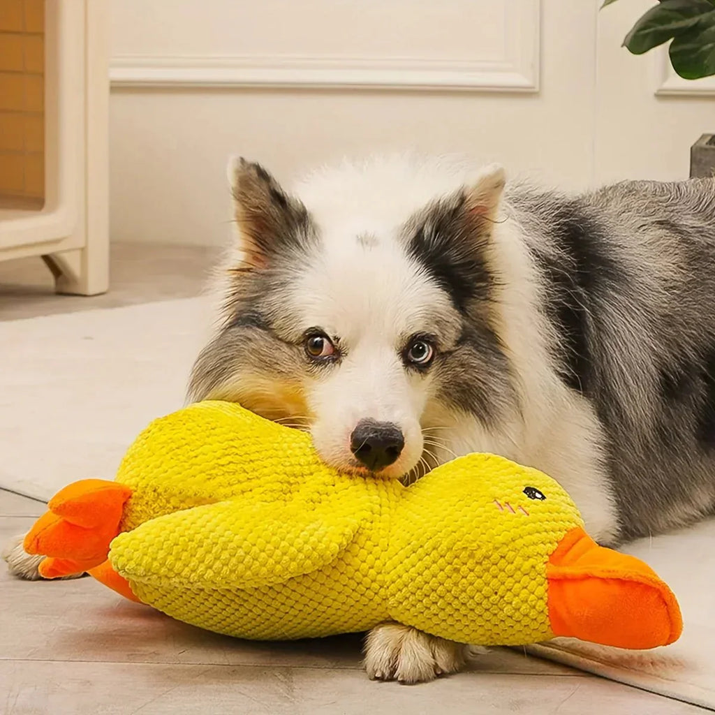 QuackPup Duck Toy For Dogs With Interactive Quacking Sound