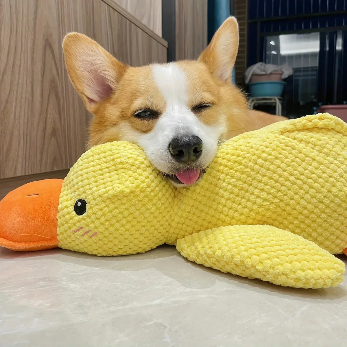 QuackPup Duck Toy For Dogs With Interactive Quacking Sound