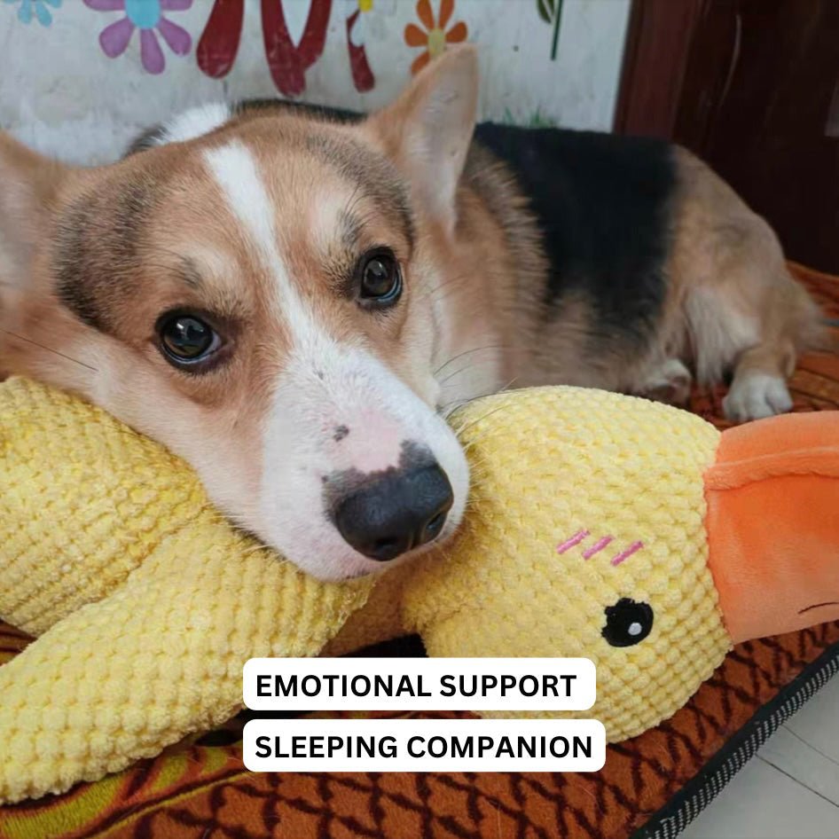QuackPup Duck Toy For Dogs With Interactive Quacking Sound