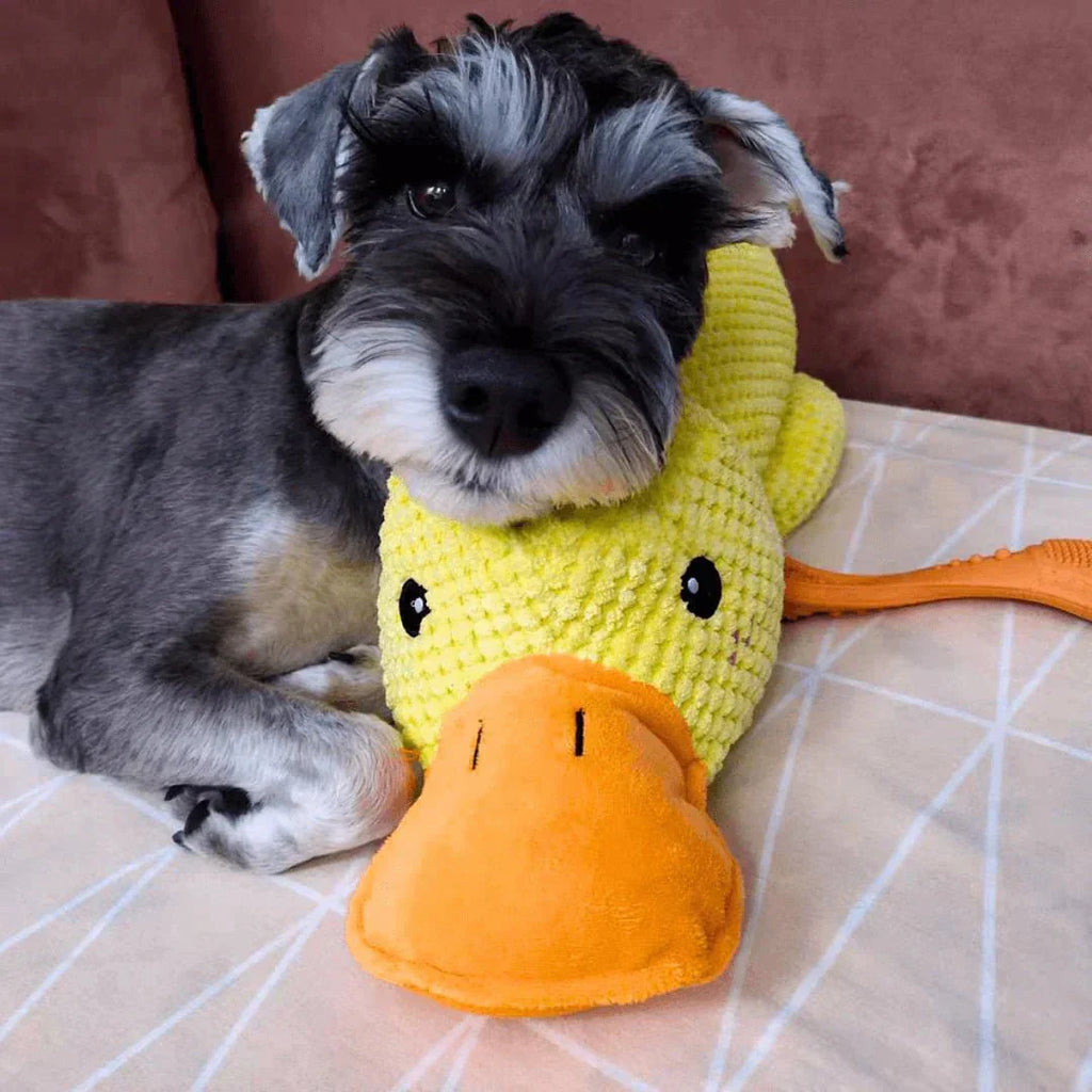 QuackPup Duck Toy For Dogs With Interactive Quacking Sound