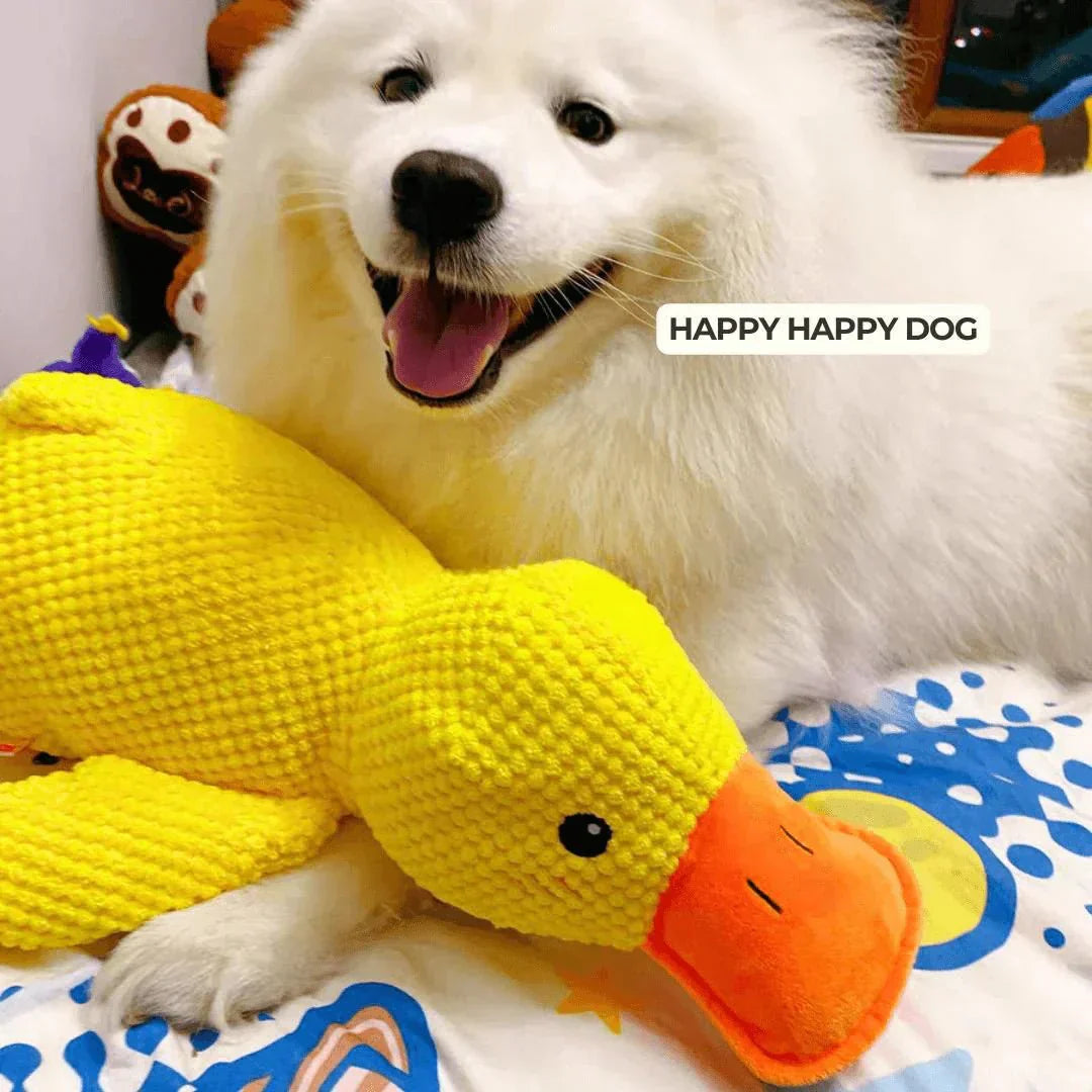 QuackPup Duck Toy For Dogs With Interactive Quacking Sound