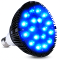 Bombilla de Terapia de Luz Azul NovaGlow 460nm Lámpara de Belleza para Cuidado de la Piel