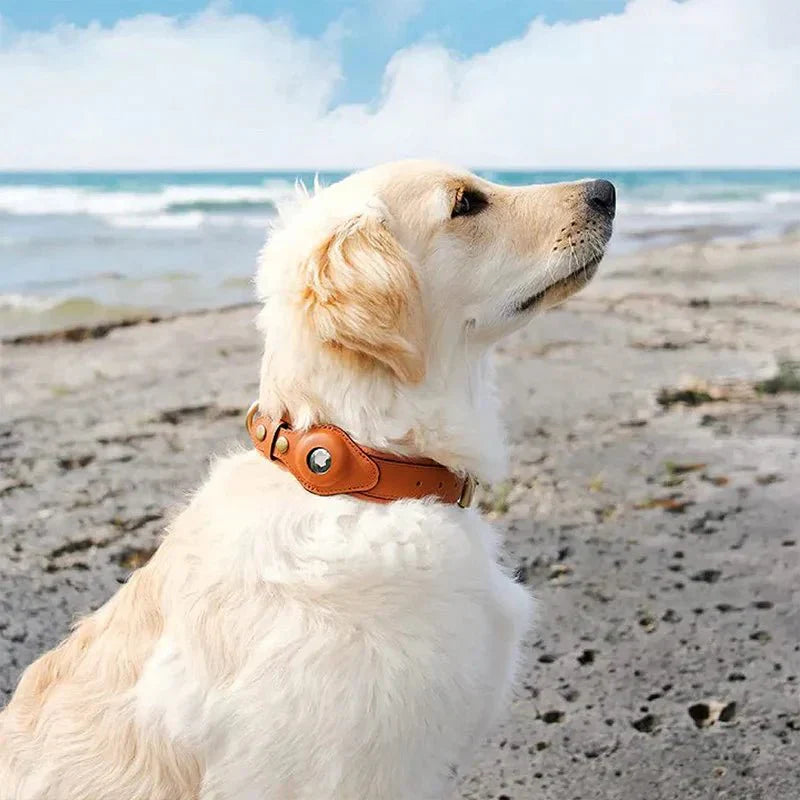TrailGuard Premium AirTag Hundhalsband Håller Apple AirTag För Hitta Min Plats