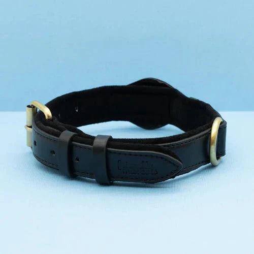 TrailGuard Premium AirTag Hundhalsband Håller Apple AirTag För Hitta Min Plats