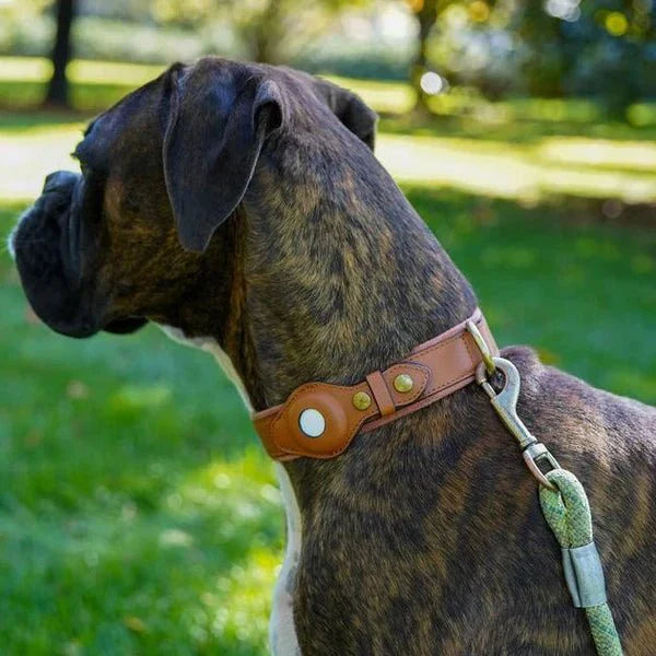 TrailGuard Premium AirTag Hundhalsband Håller Apple AirTag För Hitta Min Plats