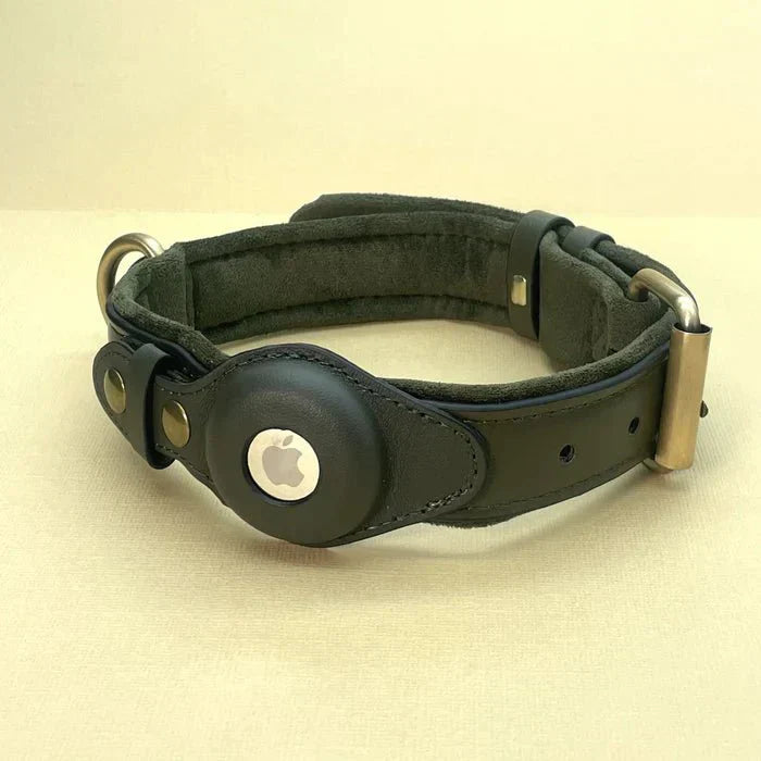 TrailGuard Premium AirTag Hundhalsband Håller Apple AirTag För Hitta Min Plats