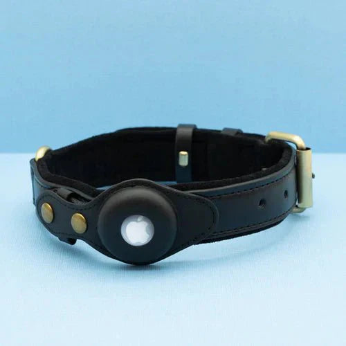 TrailGuard Premium AirTag Hundhalsband Håller Apple AirTag För Hitta Min Plats