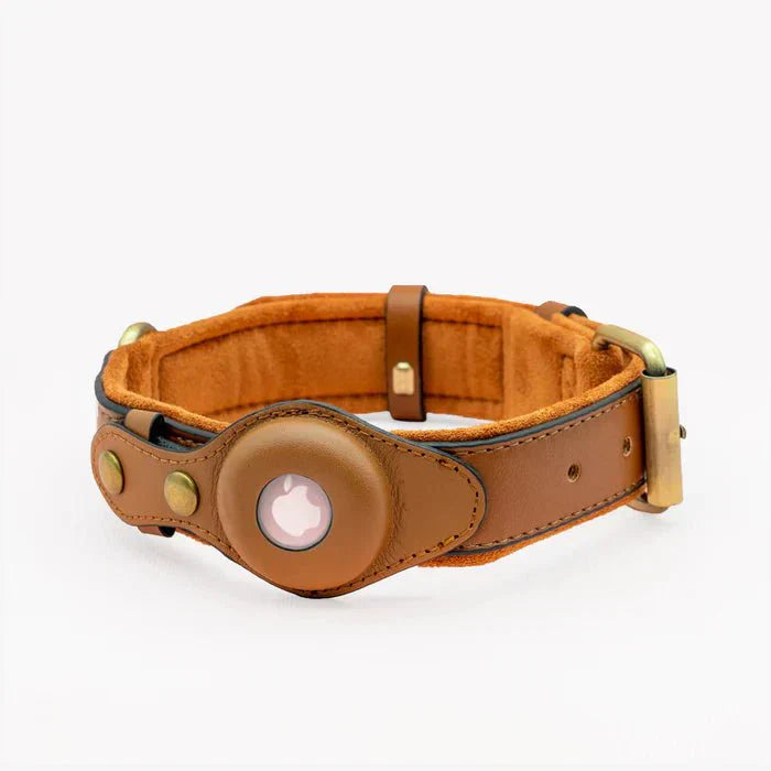 TrailGuard Premium AirTag Hundhalsband Håller Apple AirTag För Hitta Min Plats