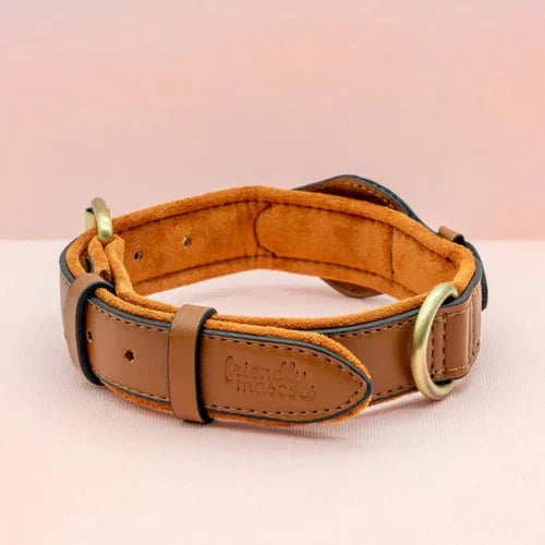 TrailGuard Premium AirTag Hundhalsband Håller Apple AirTag För Hitta Min Plats