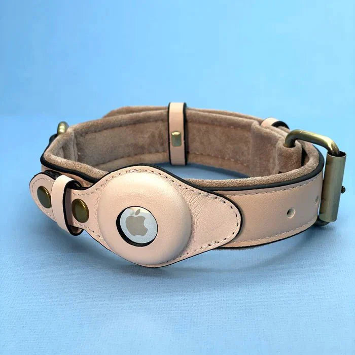 TrailGuard Premium AirTag Hundhalsband Håller Apple AirTag För Hitta Min Plats
